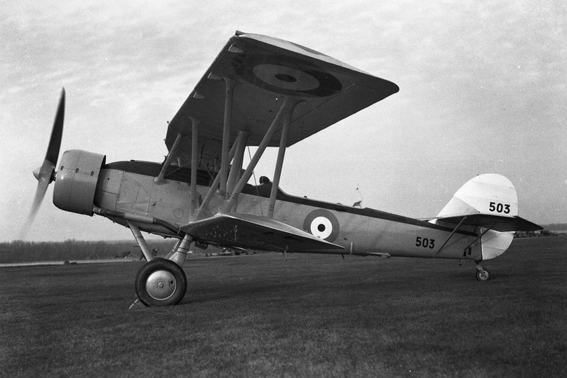 Блэкберн Шарк