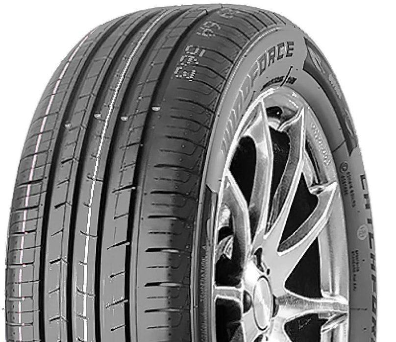 Windforce catchfors h/p 205/55 r16 91v