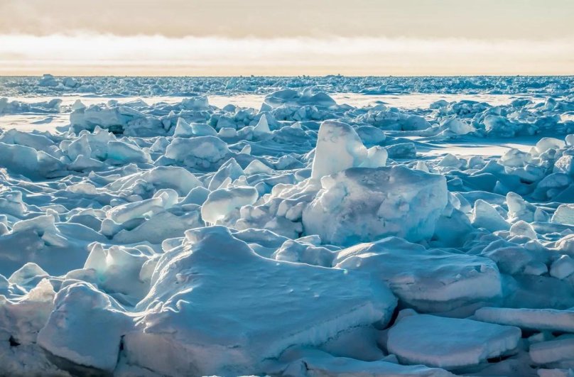 Арктические моря
