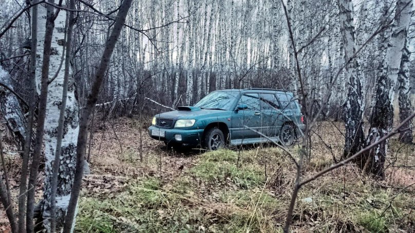 Субару Лесник