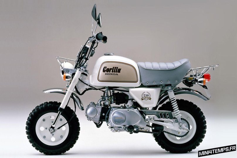 Honda Gorilla 50