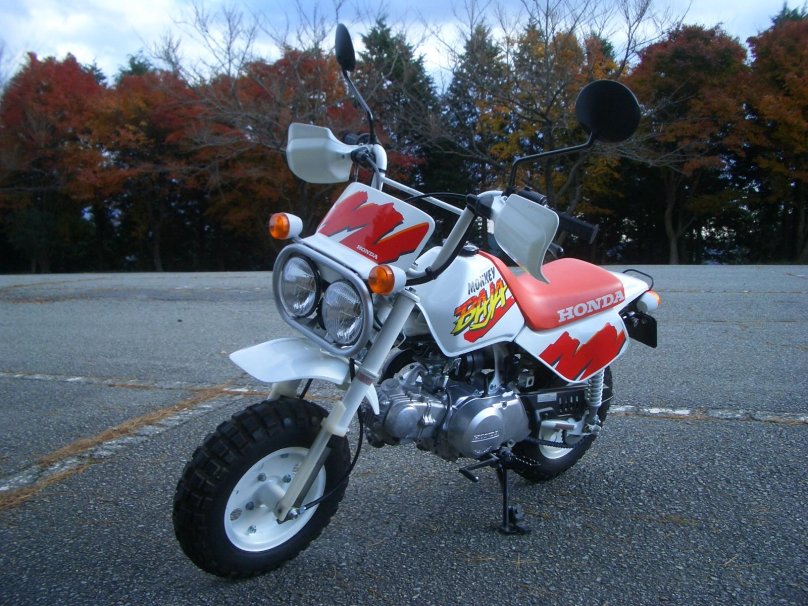 Honda Baja 50
