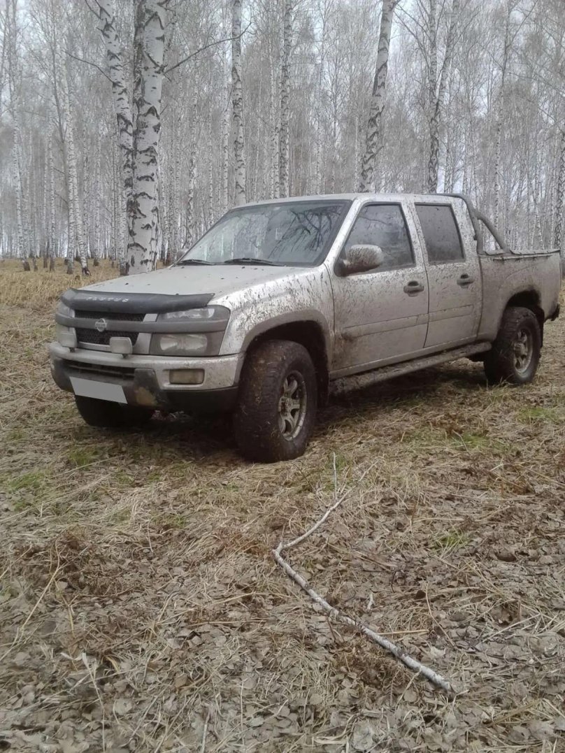 Торсион Дервейс Плутус