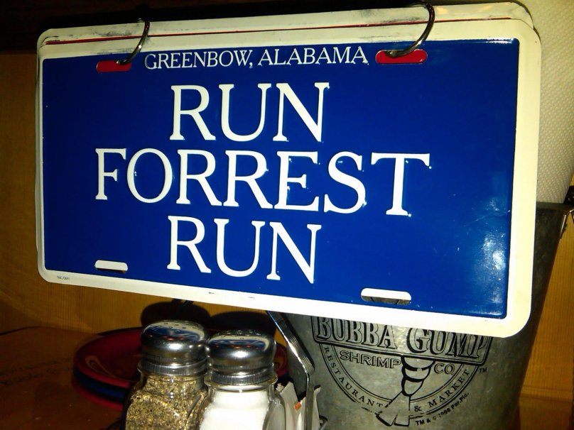Run Forest