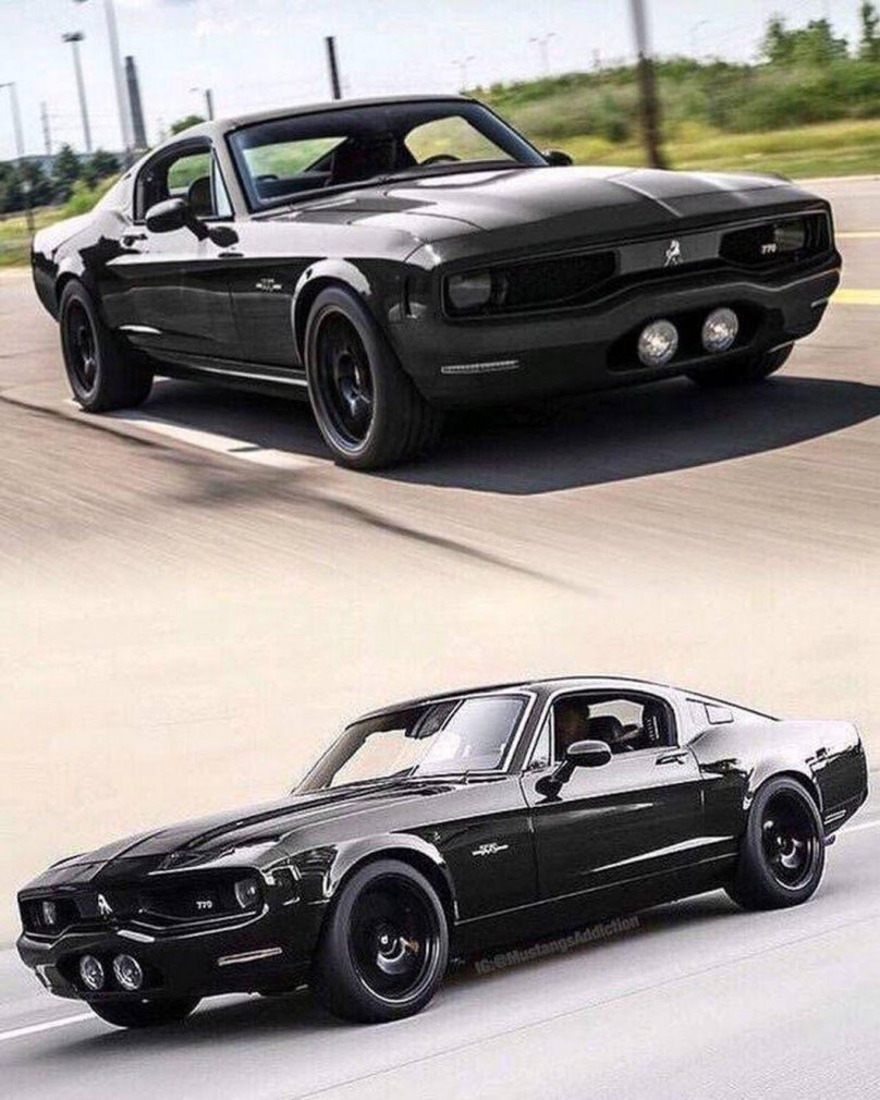 Мустанг Equus Bass 770