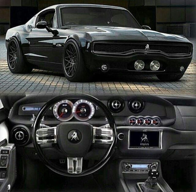 2015 Equus Bass 770