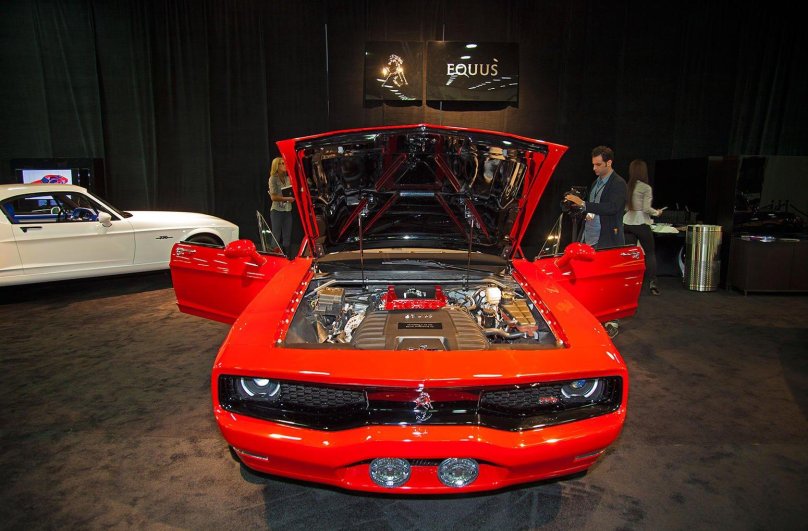 Equus-Bass-770_03 фото