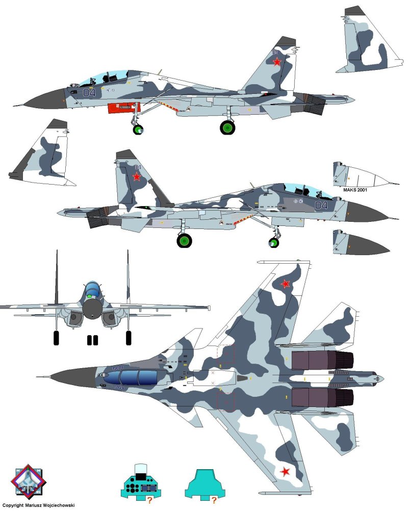 Су-30 самолёт камуфляж