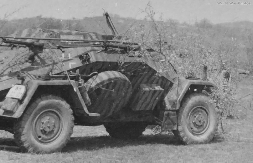 SDKFZ 221/223