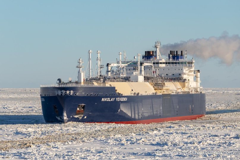 Газовоз Николай Евгенов