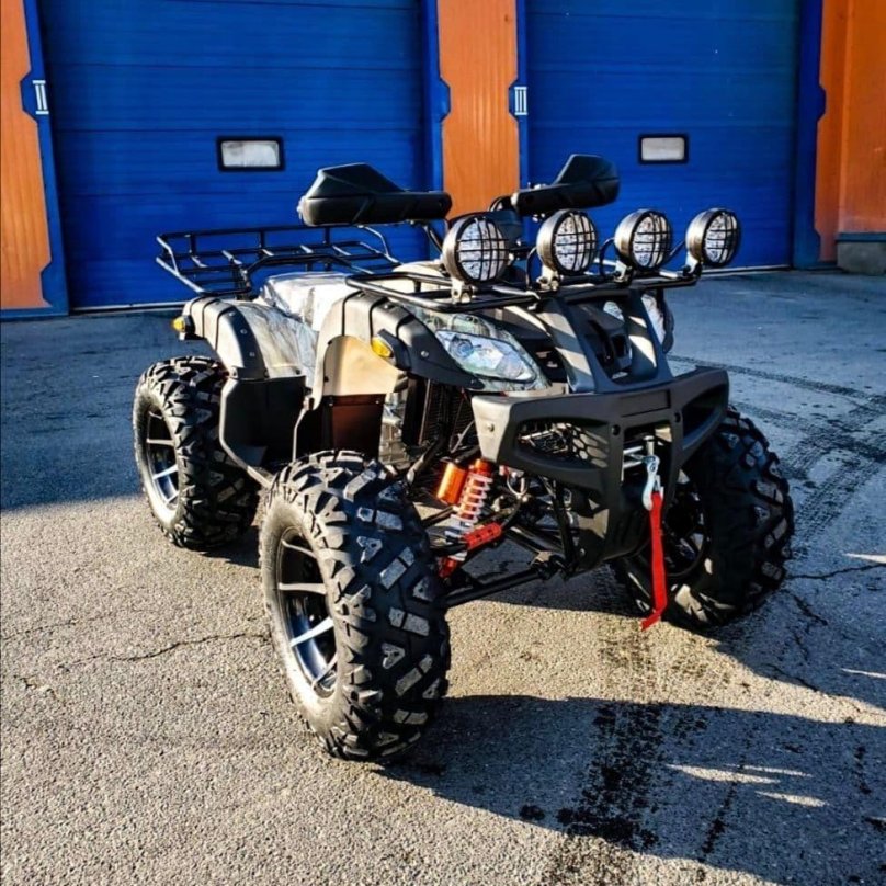 Квадроцикл Grizzly 250