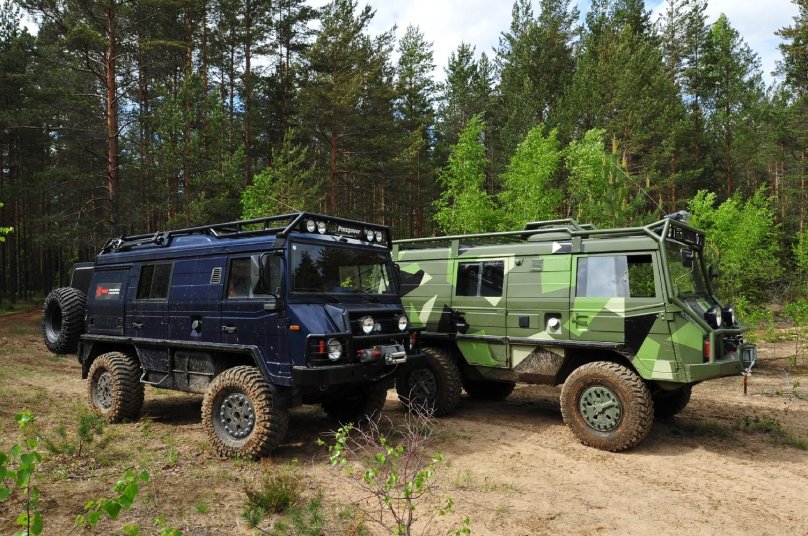 Пинцгауэр 710