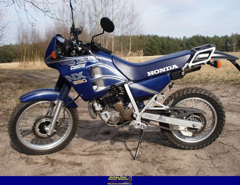 Honda nx250