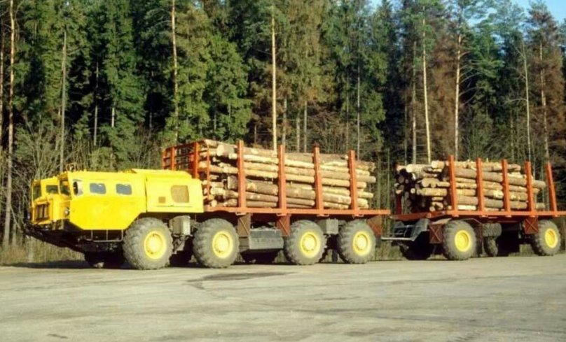 МАЗ 7310 лесовоз