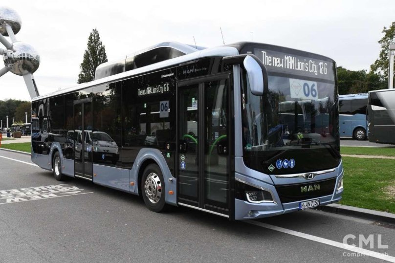 Ман Lion's coach 2021