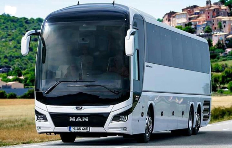 Ман Lion's coach 2021