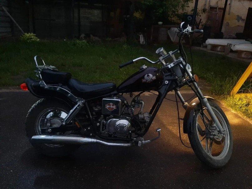 Регал Раптор dd50e