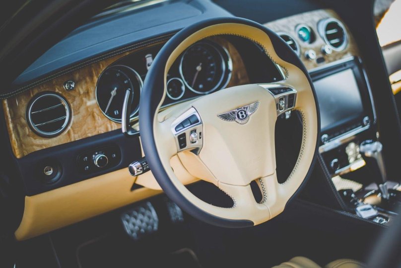 Данжун медуза машина