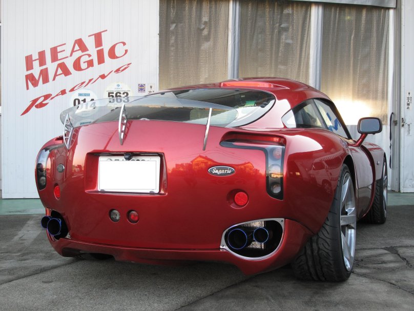 TVR Sagaris винил