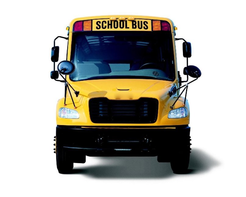 Фредлайнер автобус школьный