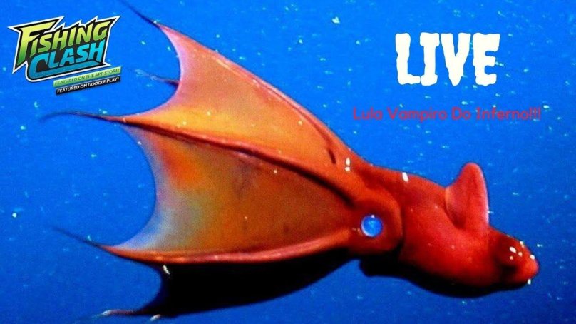 Головоногий моллюск Адский вампир