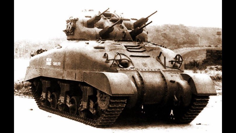 Шерман скинк