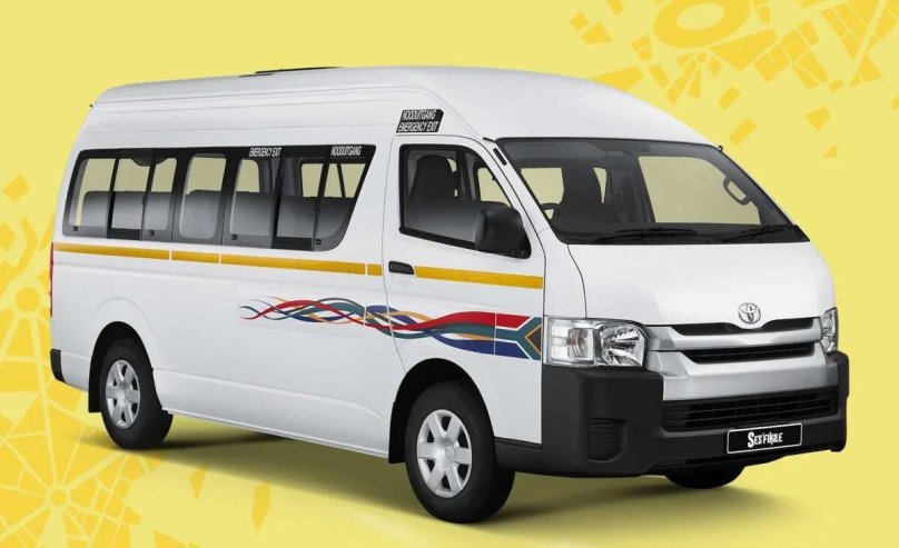 Тейлор минибас