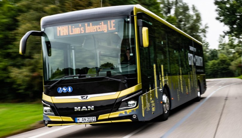 Man Lions Intercity le