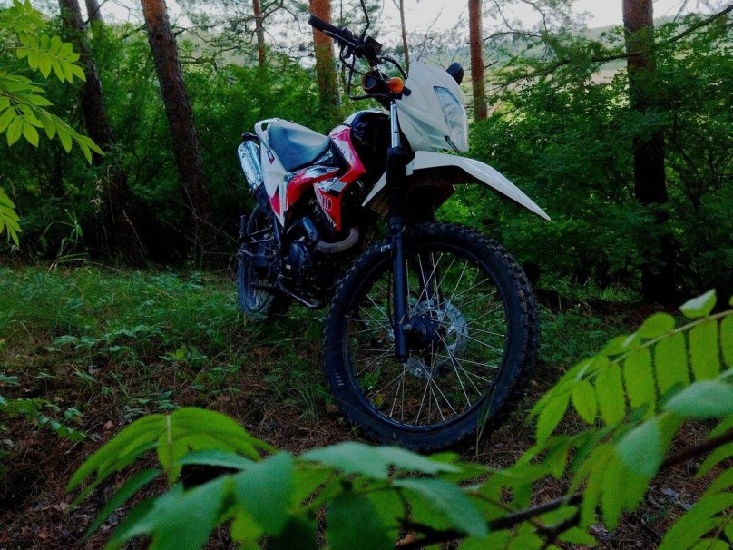 Эндуро Раптор 200