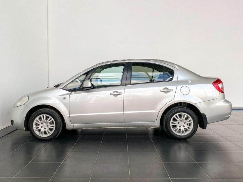 Сузуки серебристая