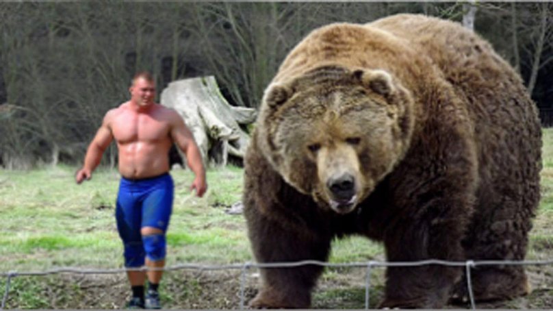 Медведь Кадьяк самый большой в мире