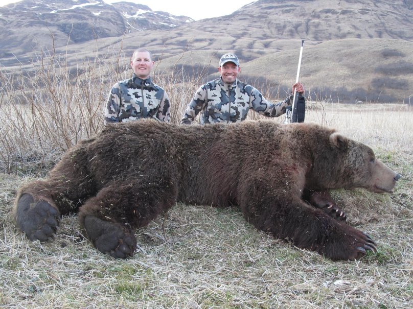 Медведь людоед Гризли на Аляске