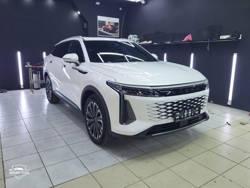 Exeed RX антихром