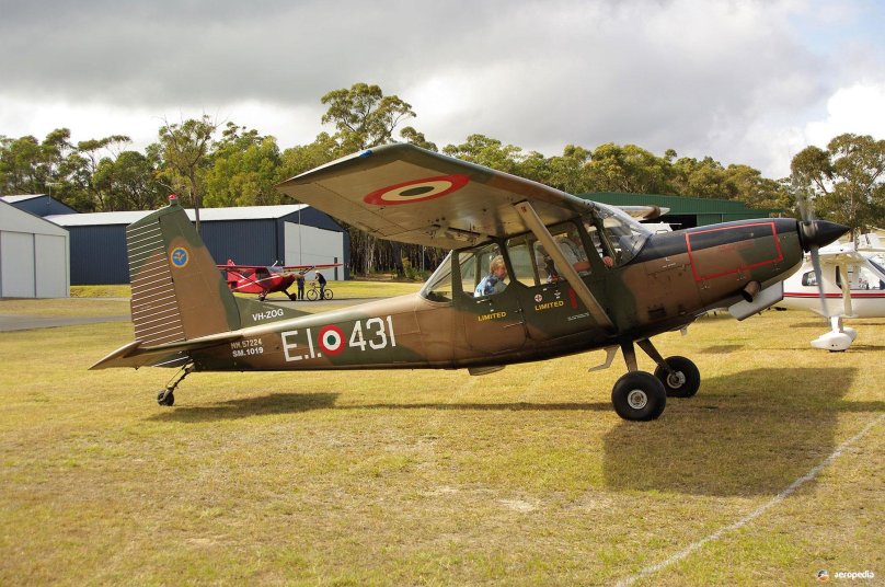 Siai-Marchetti s-208a