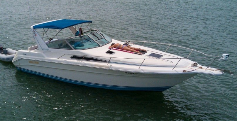 Sea ray 310