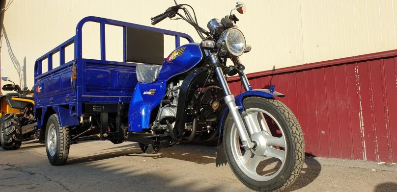 Трицикл Racer Muravei 200zh