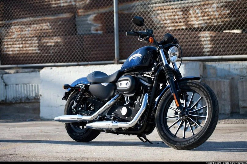 Harley Davidson Sportster 883 Iron