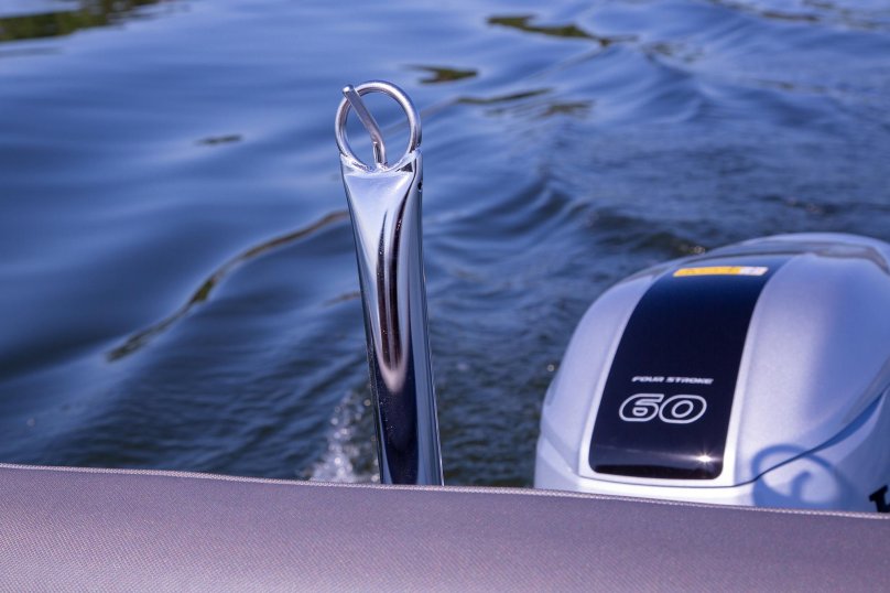 Сильвер Фокс