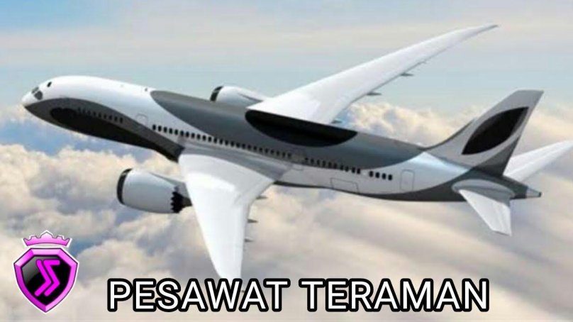 Самолет Боинг 787