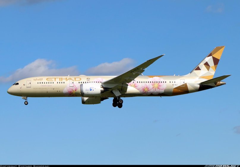 Боинг 787-9 Etihad