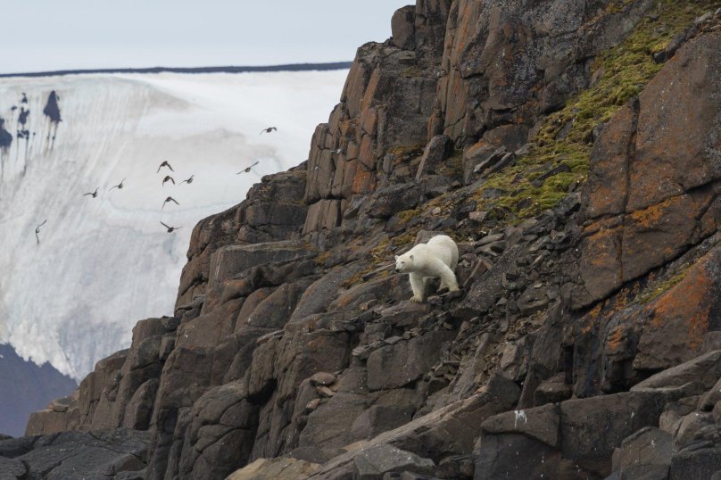 Парк русская Арктика Архангельск
