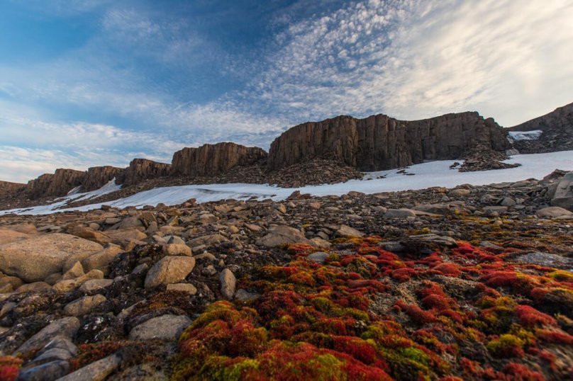 Национальный парк русская Арктика Архангельск