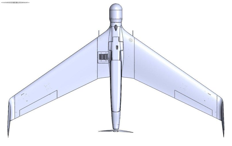 БПЛА Орбитер 2