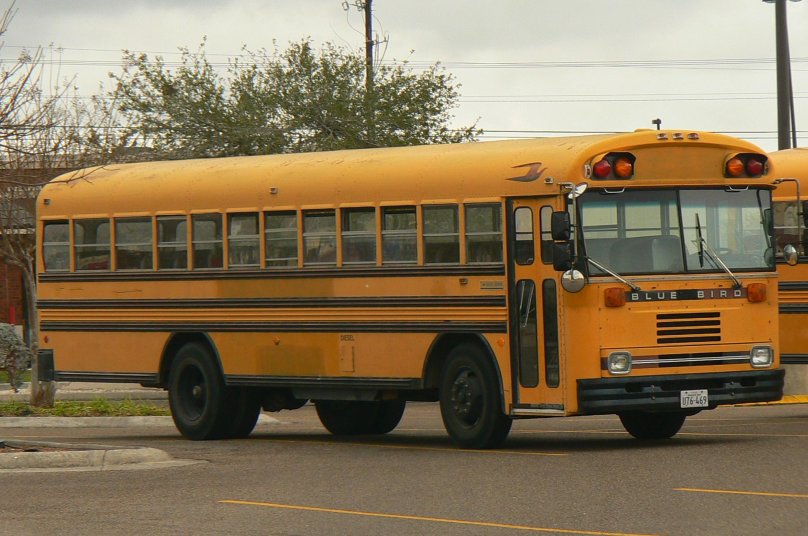 School Bus Blue Bird tc2000