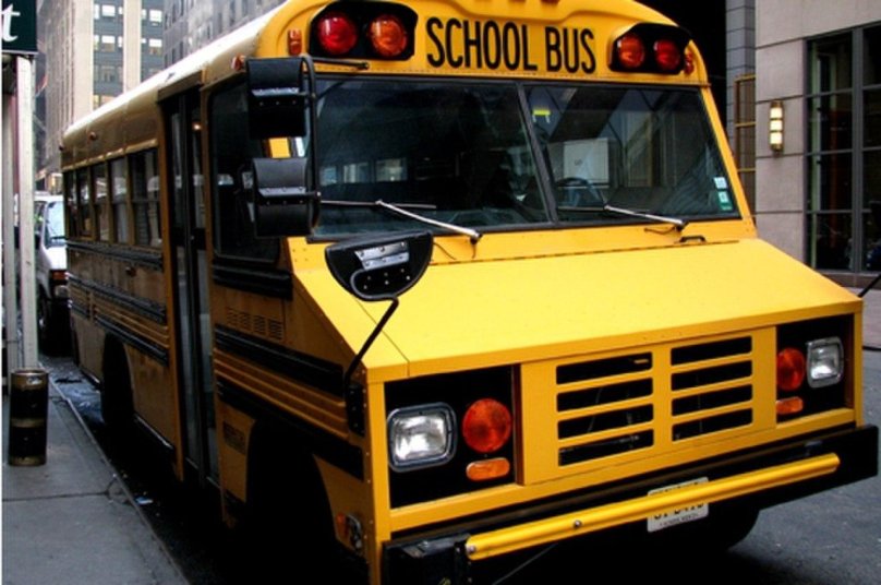 Blue Bird Mini p30 School Bus