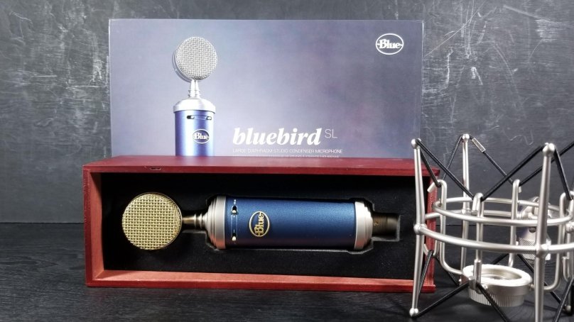 Bluebird микрофон