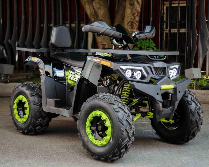 Квадроцикл Motoland Wild track 200