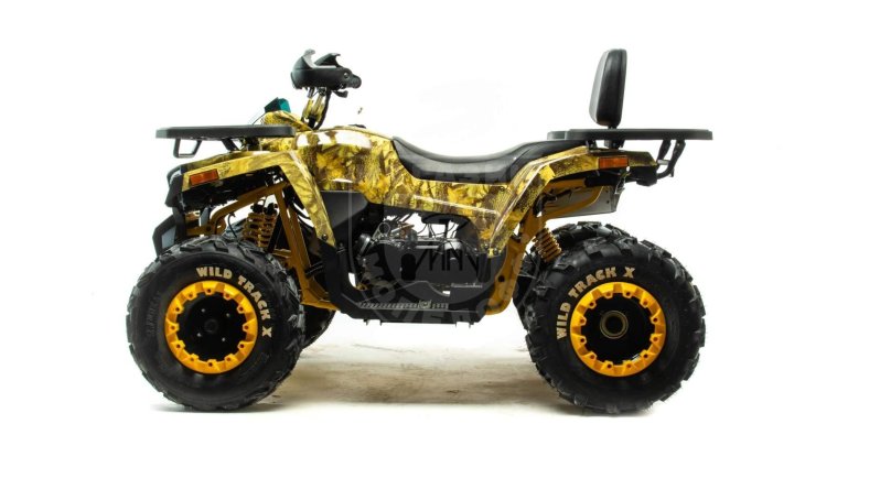 Квадроцикл Motoland Wild track 200