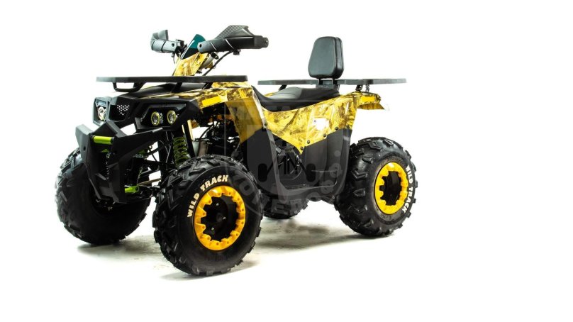 Квадроцикл Motoland Wild track 200