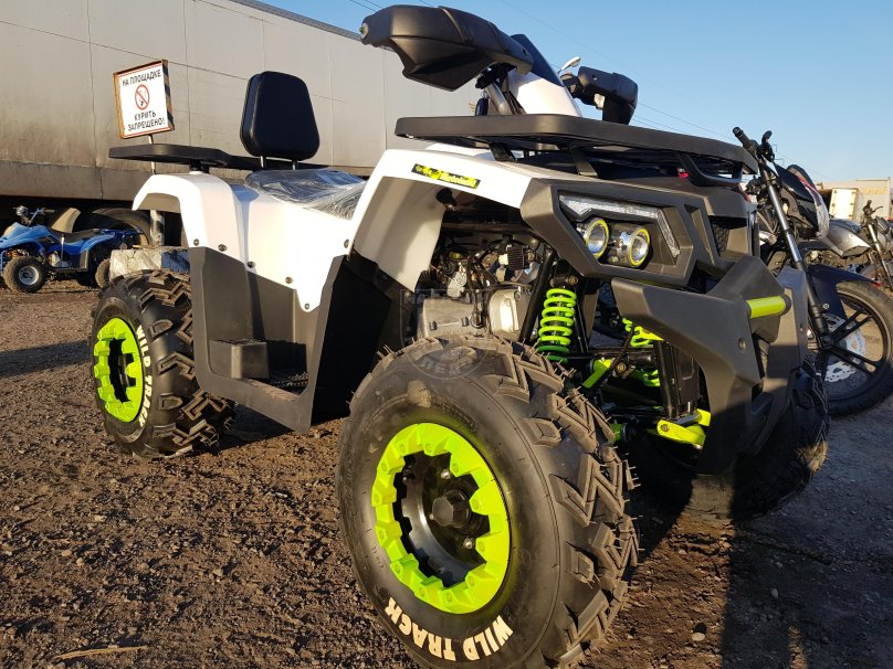 Квадроцикл Motoland Wild track Lux 200